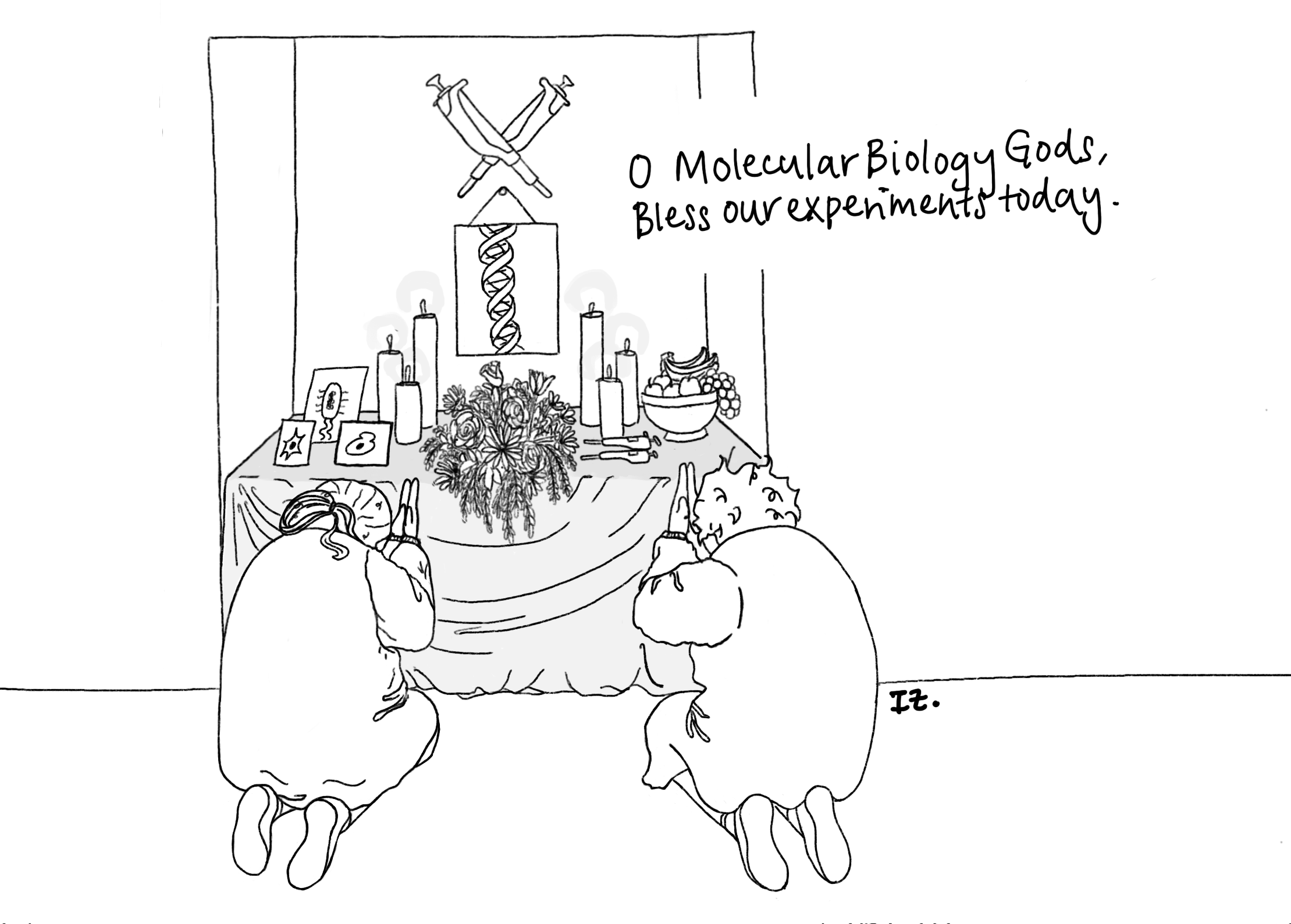 The Cellmates Cartoons by Isabelle Zane: a comic strip by Isabelle Zane about life as a PhD student in biology