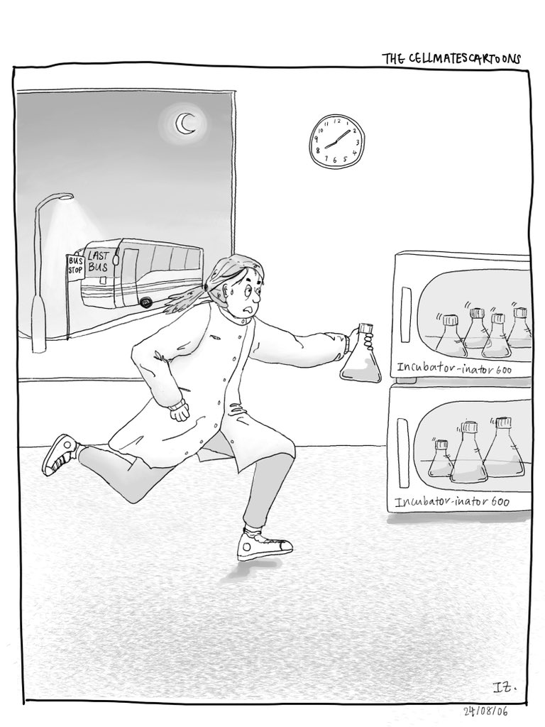 The Cellmates Cartoons by Isabelle Zane: a comic strip by Isabelle Zane about life as a PhD student in biology